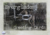 Gator Moss - Big Cypress Swamp